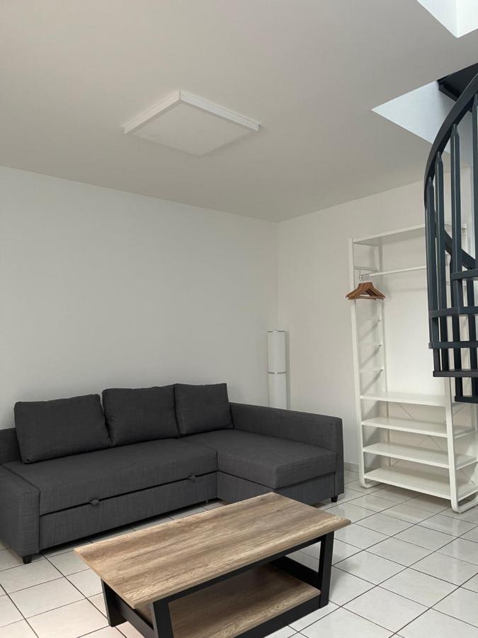 Апартаменти Nancy Hypercentre 34 Rue Des Dominicains ! Екстер'єр фото