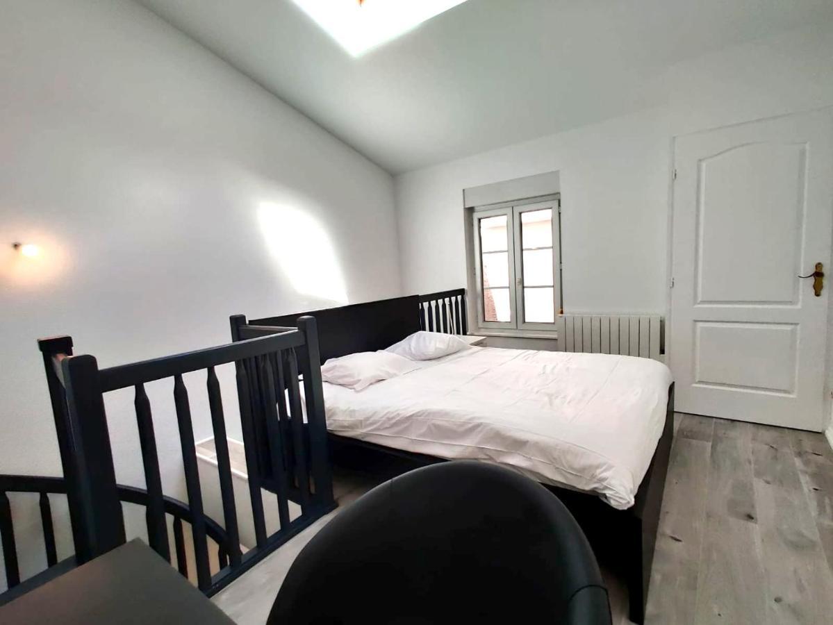 Апартаменти Nancy Hypercentre 34 Rue Des Dominicains ! Екстер'єр фото